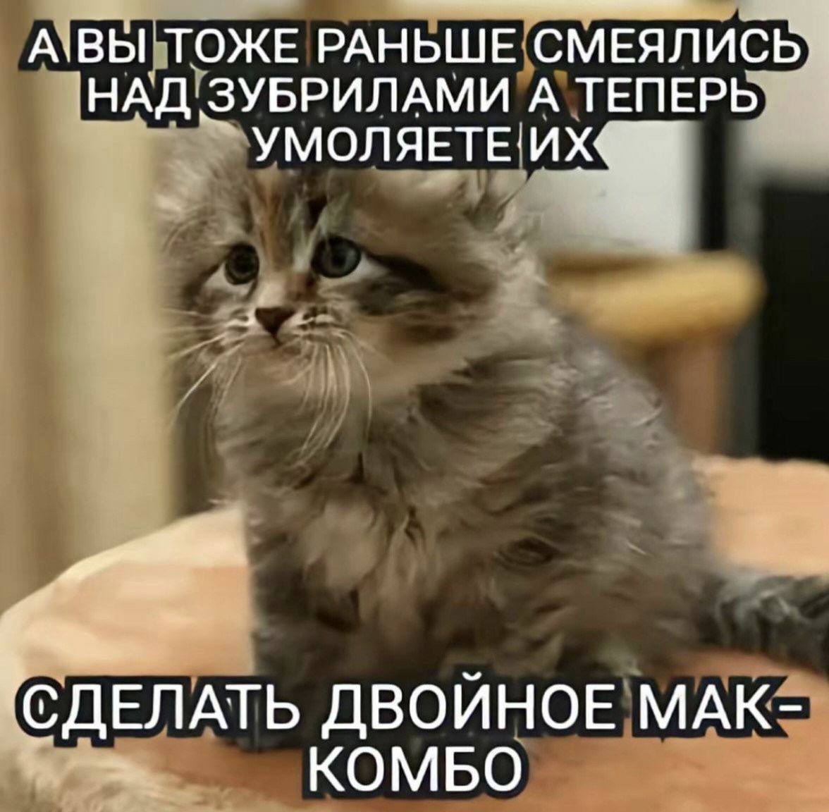 AiBbl ТОЖЕ РАНЬШЕ СМЕЯЛИСЬ НАД ЗУБРИЛАМИ А ТЕПЕРЬ УМОЛЯЕТЕ СДЕЛАТЬ ДВОЙНОЕ МАК-