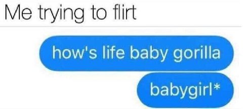 Me trying to flirt