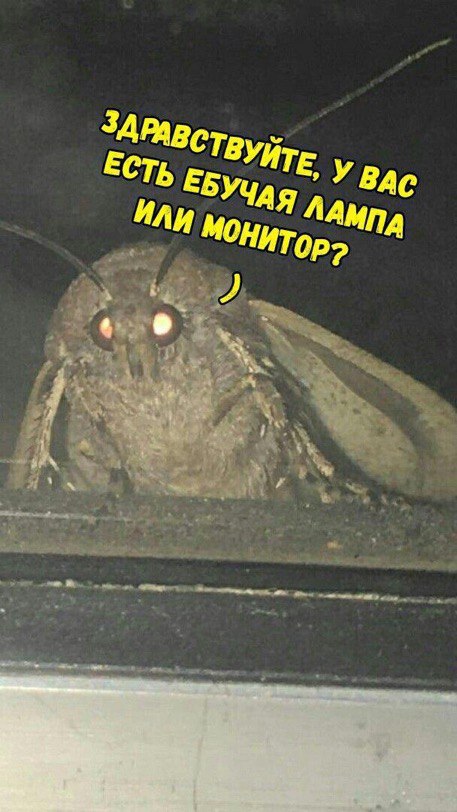У Bac ЕСТЬ ЕБУЧАЯ ЛАМПА ИЛИ 1 у, 3
