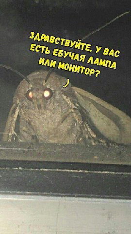 У Bac ЕСТЬ ЕБУЧАЯ ЛАМПА ИЛИ 1 у, 3