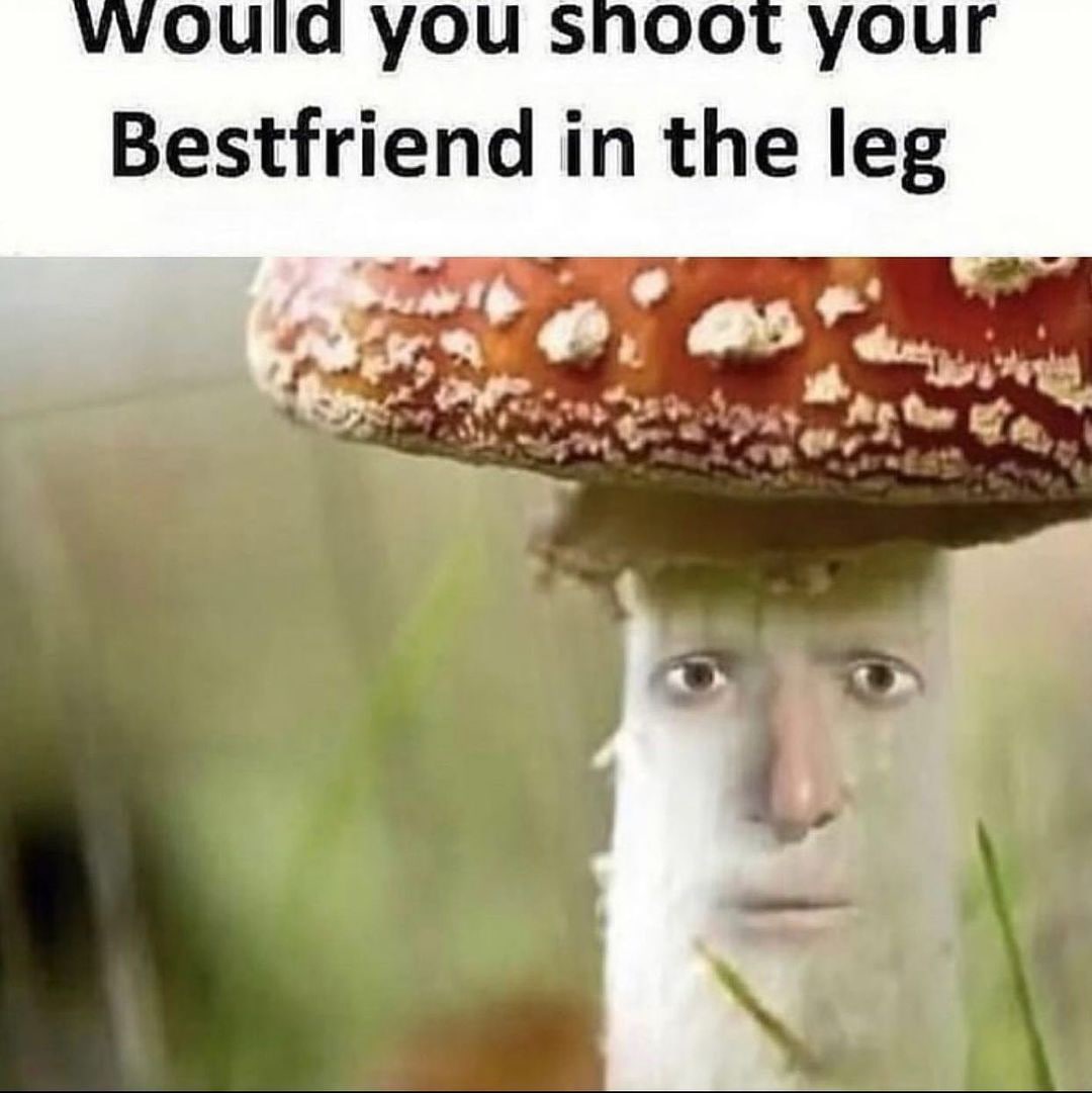 you snoot your Bestfriend in the leg