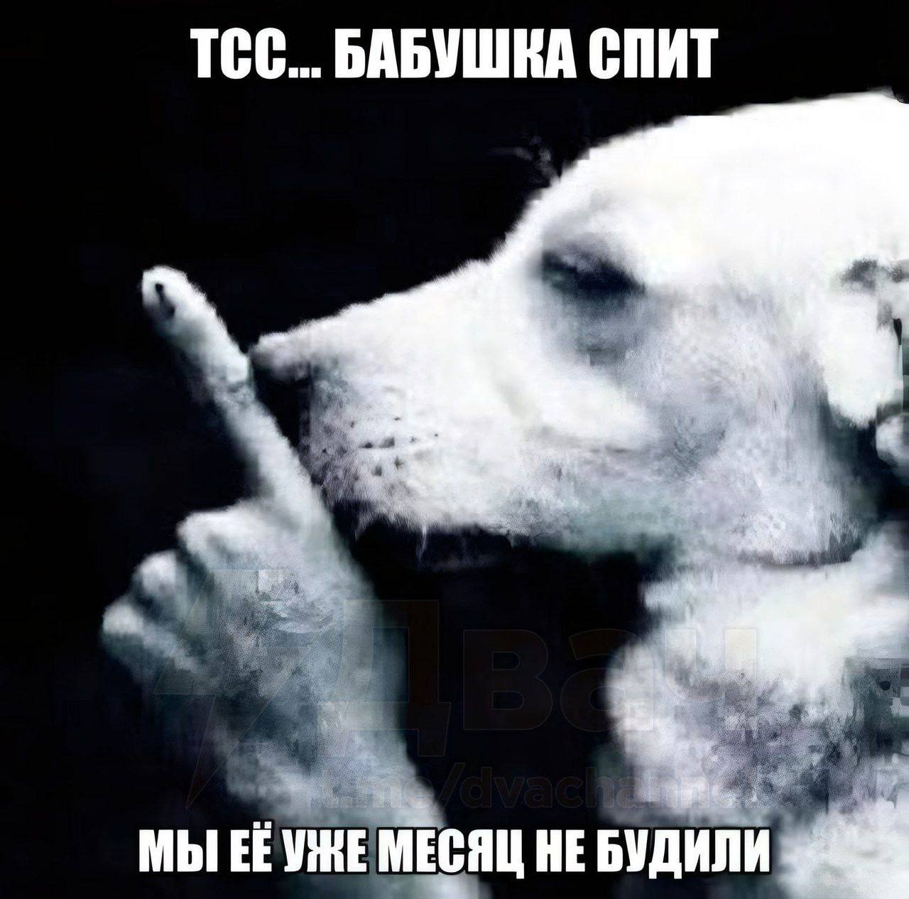 ТСС... БАБУШКА СПИТ 4, МЫ МЕСЯЦ HE БУДИЛИ