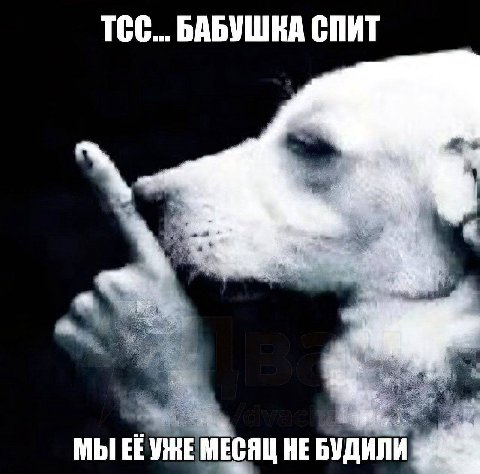 ТСС... БАБУШКА СПИТ 4, МЫ МЕСЯЦ HE БУДИЛИ