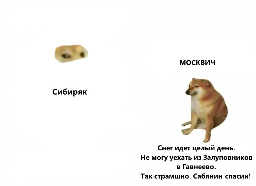 МОСКВИЧ Сибиряк Снег идет целый день. Не могу уехать из Залуповников в Гавнеево. Так страмшно. Сабянин спасии!