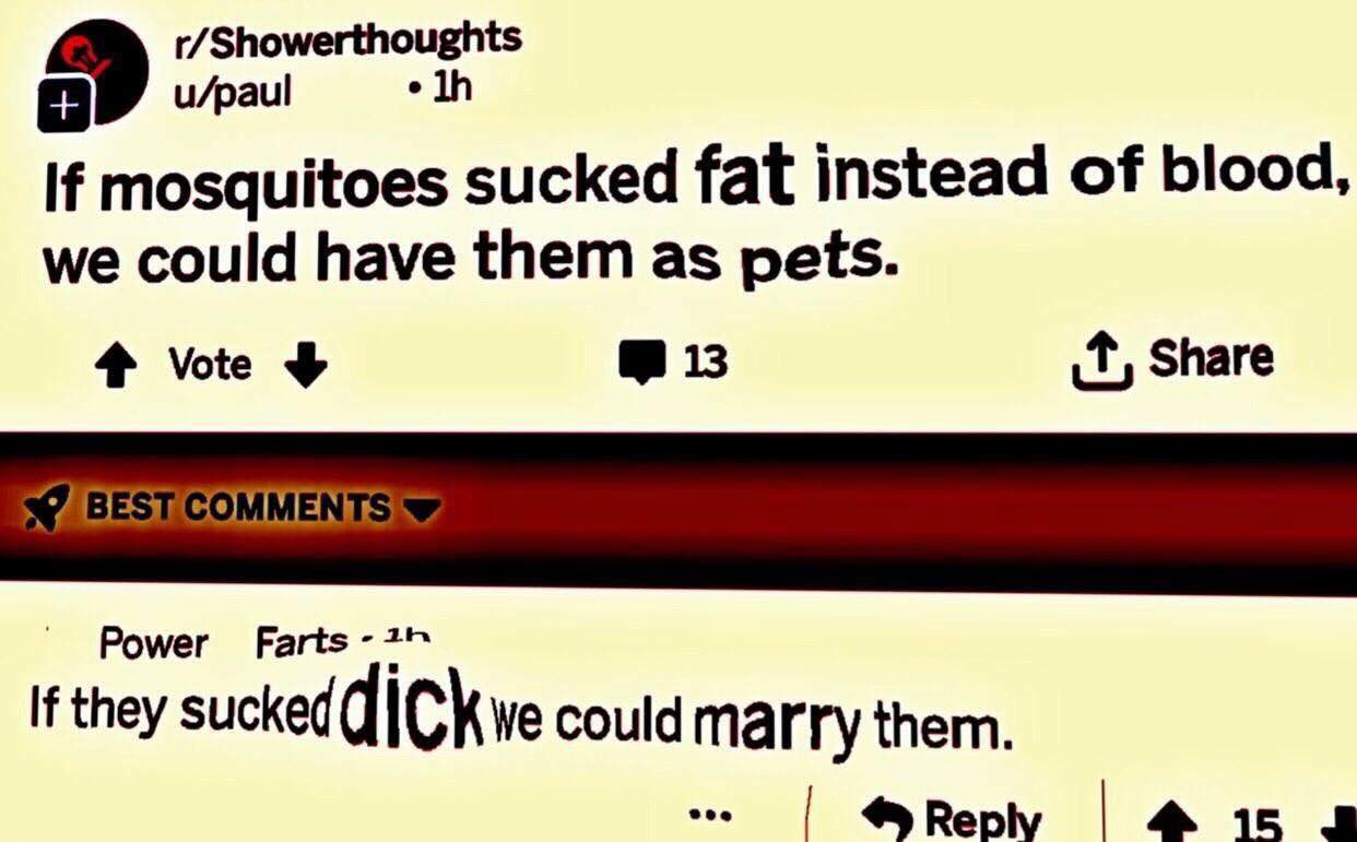 r/Showerthoughts u/paul elh mosquitoes sucked fat instead of blood, we could have them as pets. 4 Vote 13 Share Ромег Farts i they sucked could marry them. @Repy