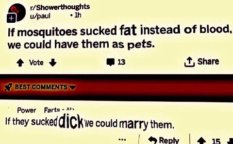 r/Showerthoughts u/paul elh mosquitoes sucked fat instead of blood, we could have them as pets. 4 Vote 13 Share Ромег Farts i they sucked could marry them. @Repy