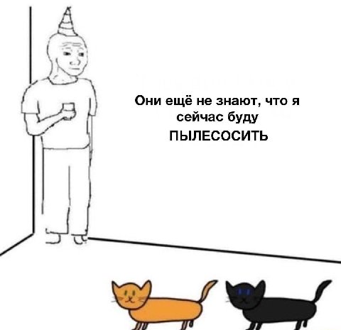 Они ещё не знают, что я 2 сейчас буду ПЫЛЕСОСИТЬ
