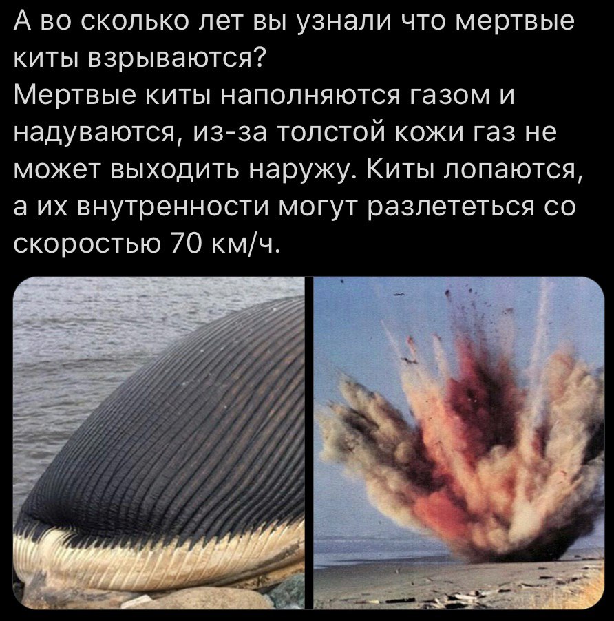 есть только два гендера админов тлг ченелов