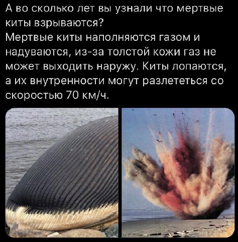 есть только два гендера админов тлг ченелов