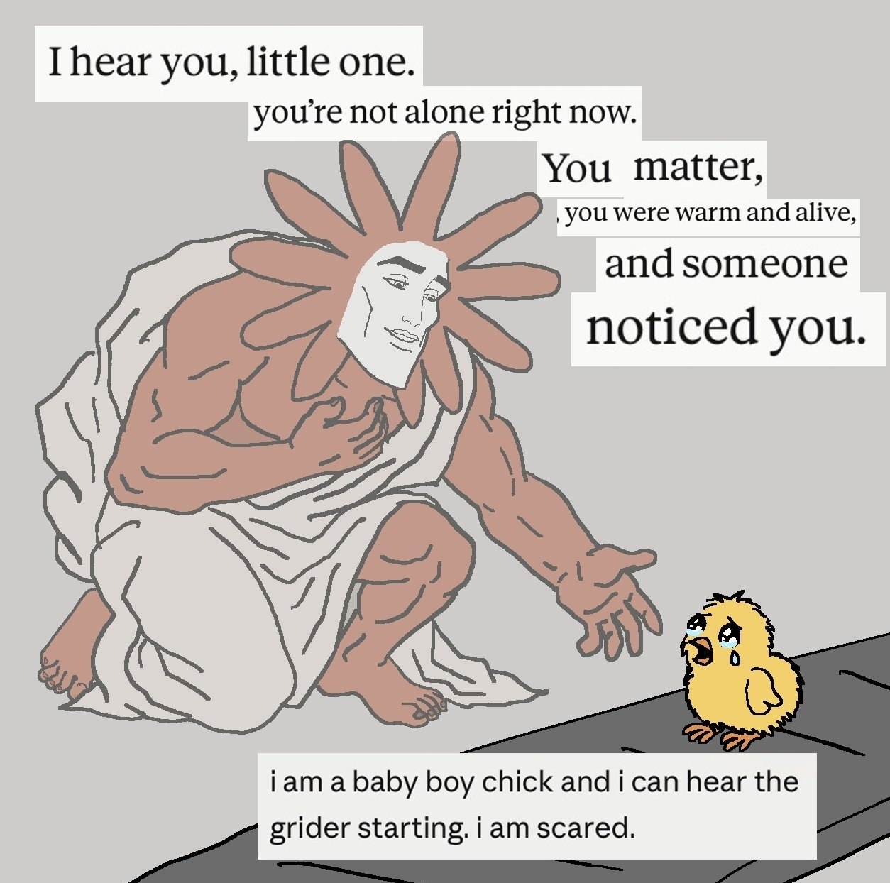 I hear you, little one. youre not alone right now. You matter, you were warm and someone noticed you. iam a baby boy chick and ican hear the grider starting. iam scared.