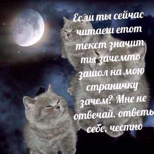 читаеш етот текст значит mug Зачемто зашол на мою зачем? Мне не отвечай. ответь себе. честно