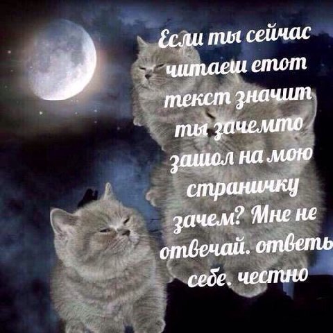 читаеш етот текст значит mug Зачемто зашол на мою зачем? Мне не отвечай. ответь себе. честно