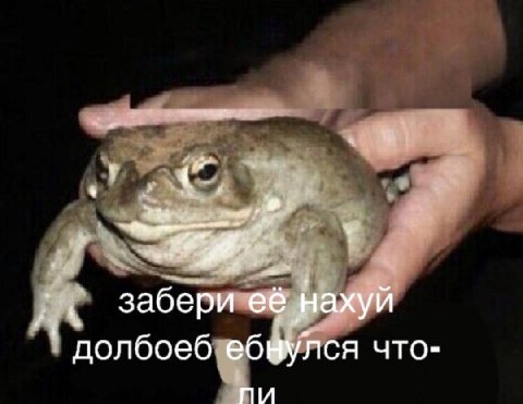 4 забери её нахуй долбоеб что-
