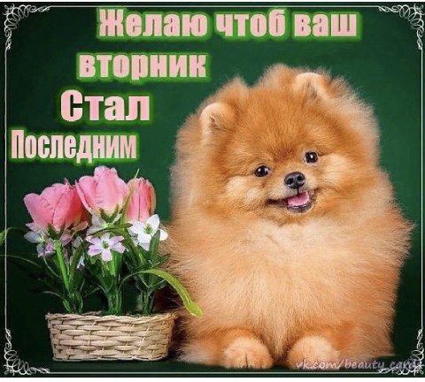 Желаю чтоб ваш Вторник Стал Последним К. 1,‘