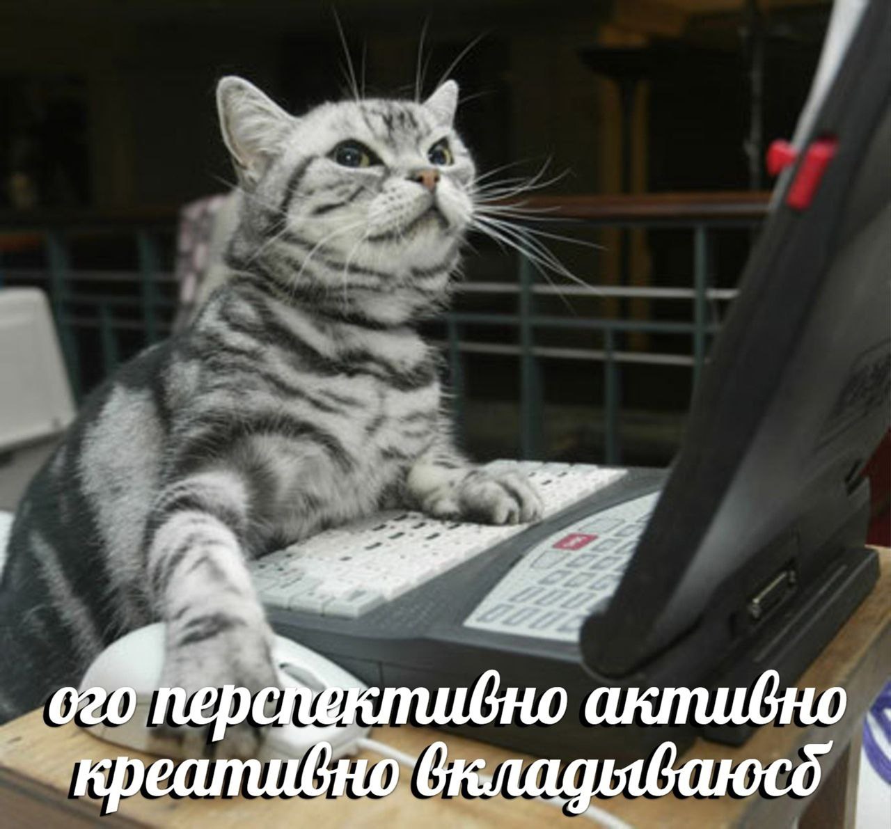 активно