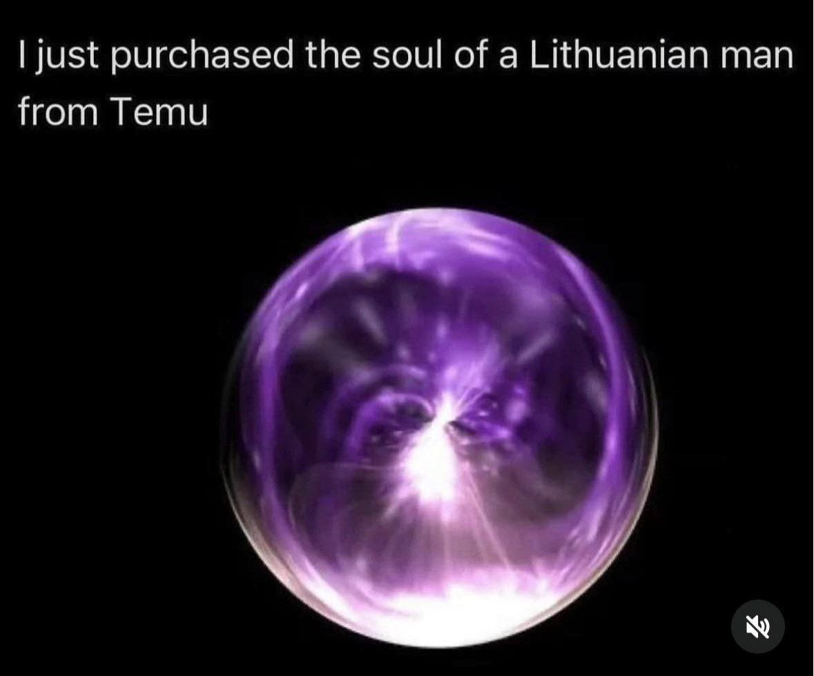 just purchased the soul of a Lithuanian man from Temu