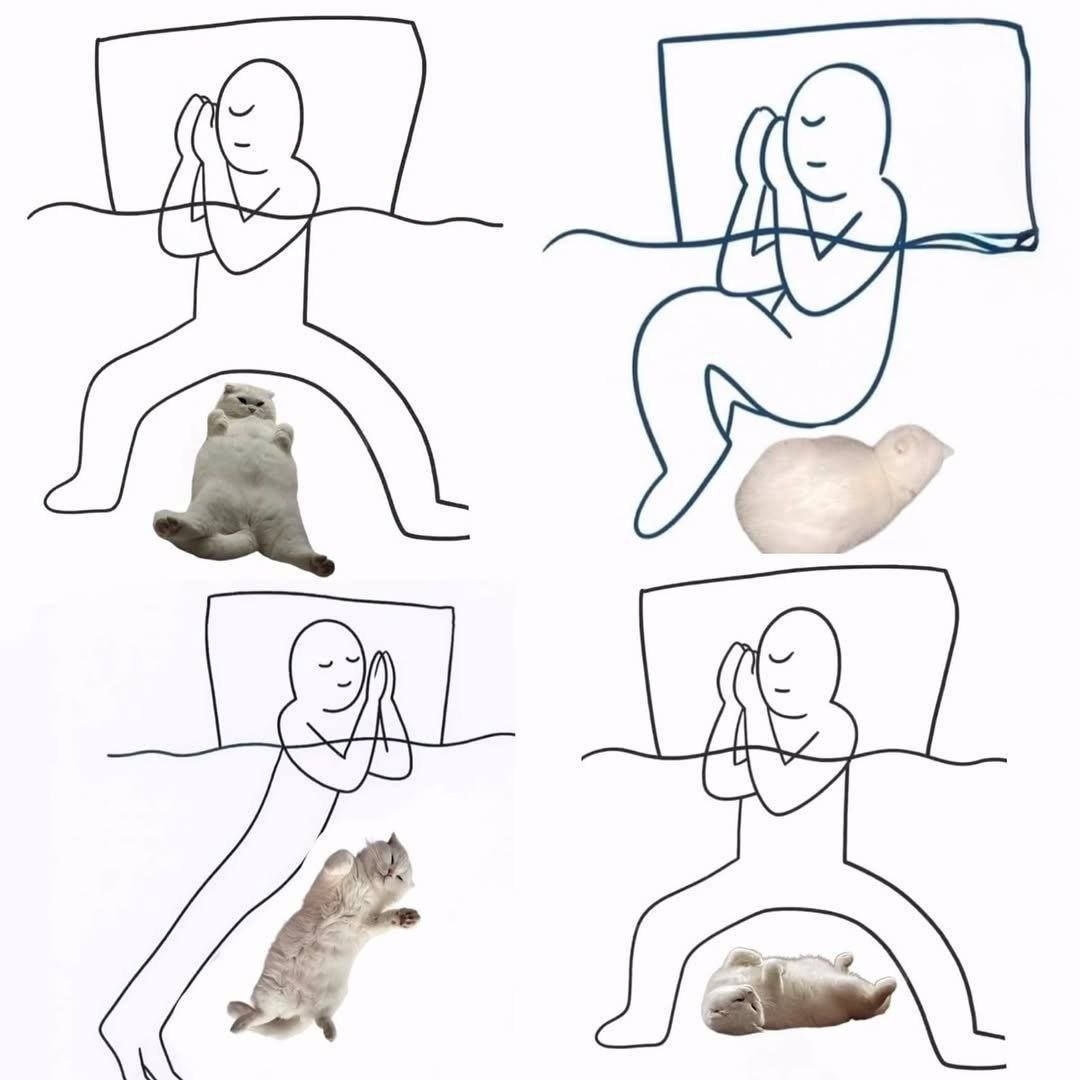he