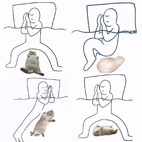he