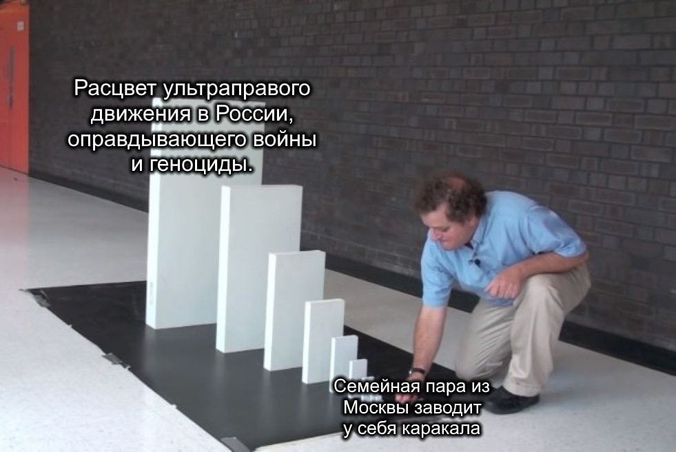 Расцвет ультраправого движения в России, оправдывающего войны и геноциды. `Семейная пара из Москвы заводит у, себя каракала