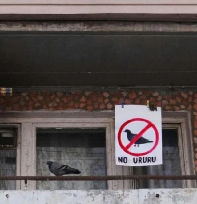 NO URURU