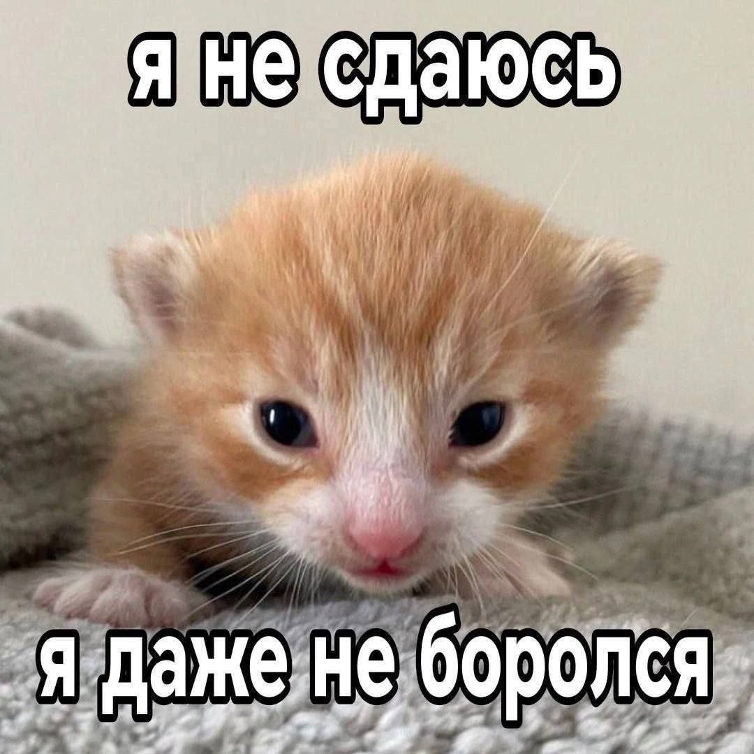 ‘He С сда =-1 4 i ‚я дажене боролся. 2