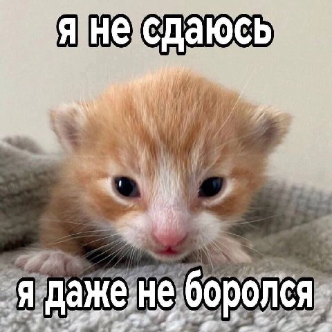 ‘He С сда =-1 4 i ‚я дажене боролся. 2