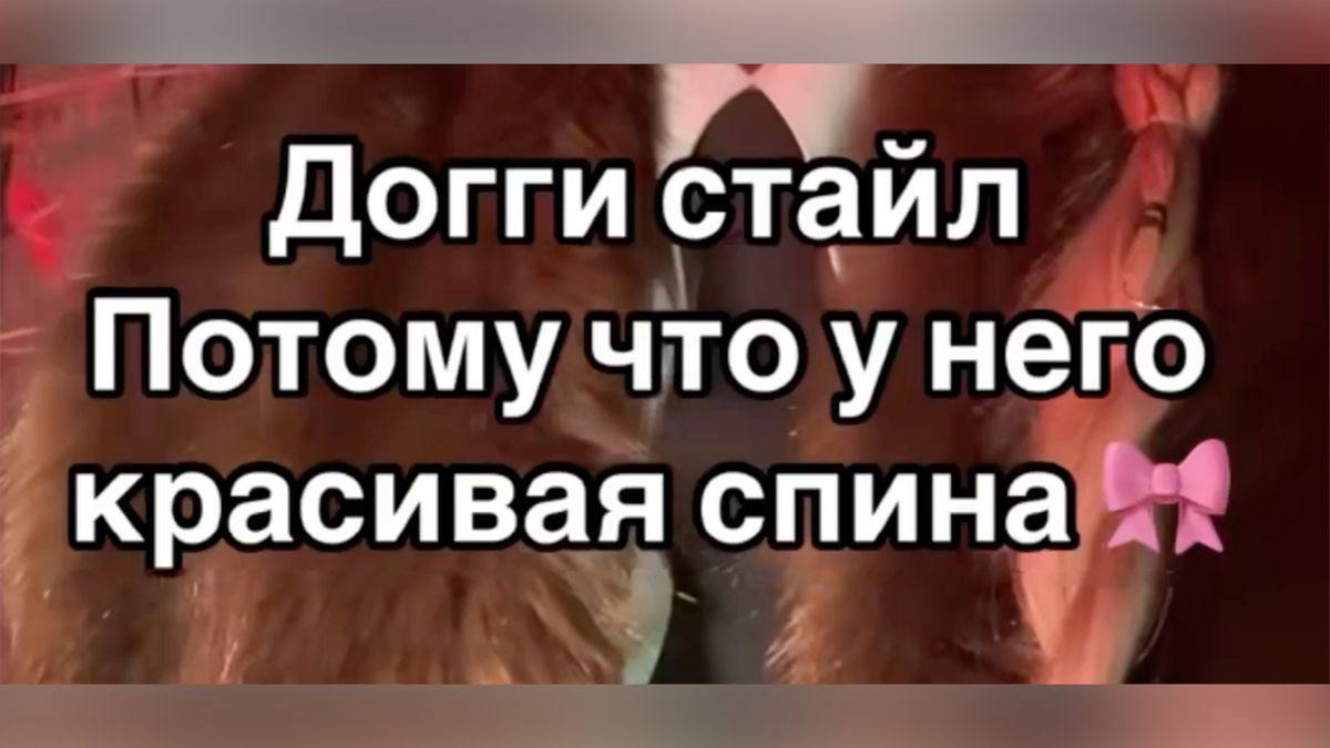 Догги стаил Потому что у него красивая спина