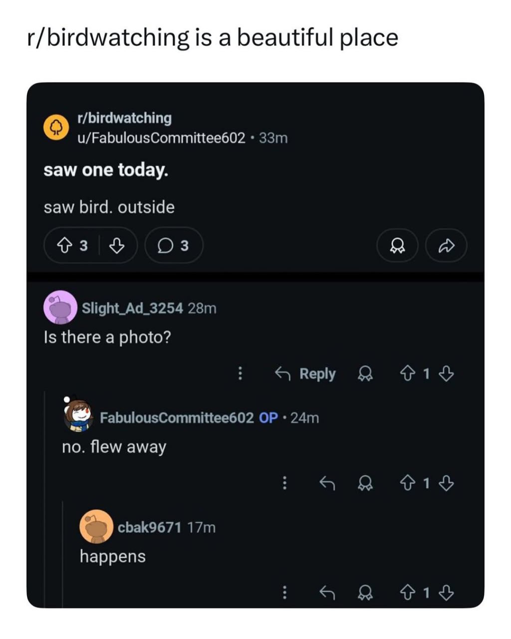r/birdwatching is a beautiful place t/birdwatching u/FabulousCommittee602 saw one today. saw bird. outside я A Slight_Ad_3254 Is there a photo? Reply Я FabulousCommittee602 no. flew away happens