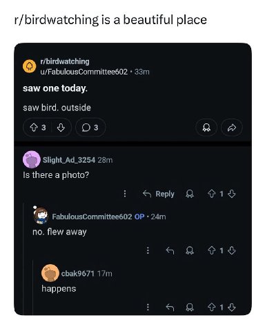 r/birdwatching is a beautiful place t/birdwatching u/FabulousCommittee602 saw one today. saw bird. outside я A Slight_Ad_3254 Is there a photo? Reply Я FabulousCommittee602 no. flew away happens