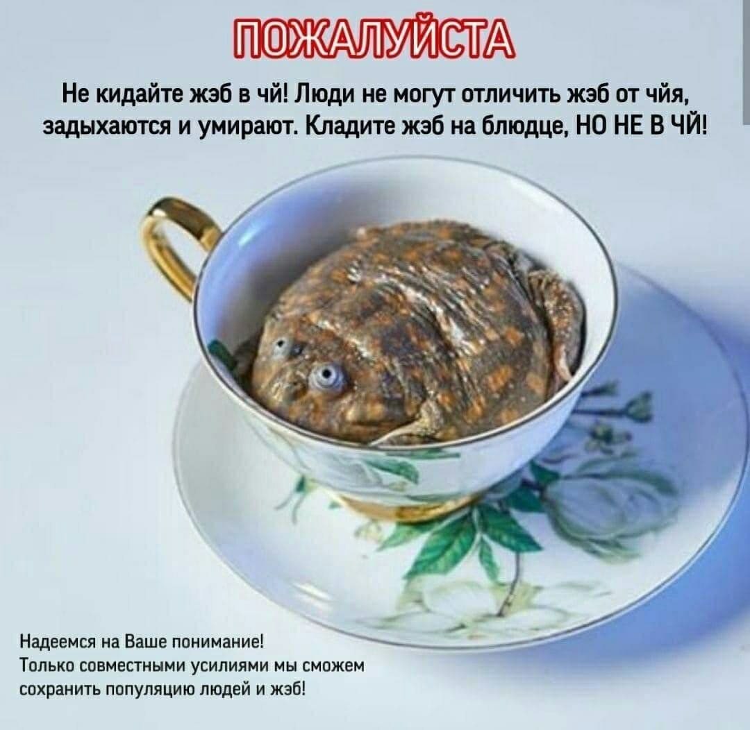 Не кидайте «36 в Люди не могут отличить жзб чйя, задыхаются и умирают. Кладите на блюдце, НО HE ВЧЙ! у Надеемся на Ваше понимание! Только совместными усилиями мы сможем сохранить популяцию людей и жэб