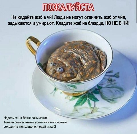 Не кидайте «36 в Люди не могут отличить жзб чйя, задыхаются и умирают. Кладите на блюдце, НО HE ВЧЙ! у Надеемся на Ваше понимание! Только совместными усилиями мы сможем сохранить популяцию людей и жэб
