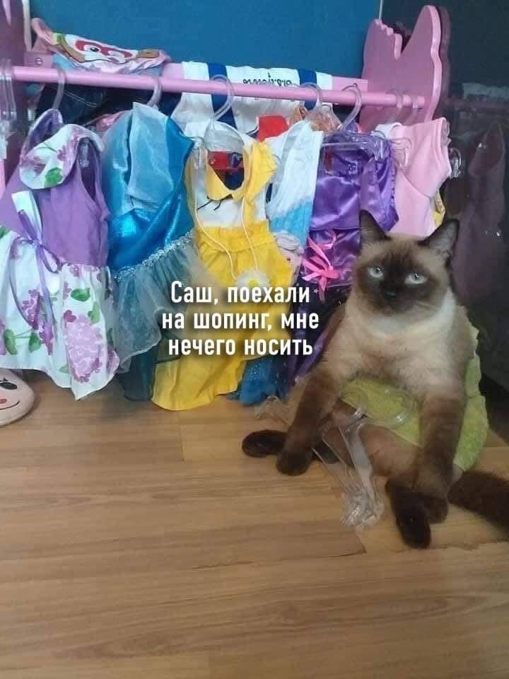 али Cau, на шопинг, мне нечего носить
