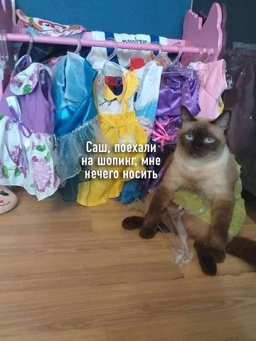 али Cau, на шопинг, мне нечего носить