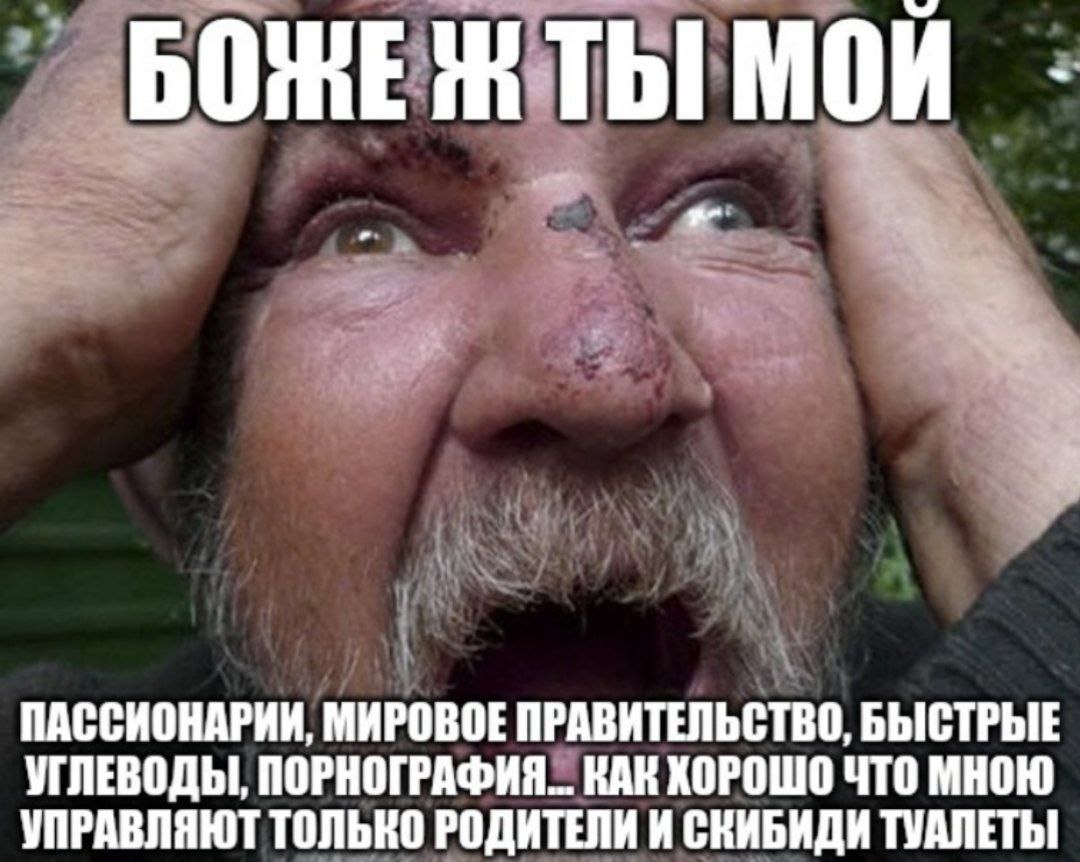БОЖЕ Ж ТЫ МОЙ ПАССИОНАРИИ, МИРОВОЕ ПРАВИТЕЛЬСТВО, БЫСТРЫЕ УГЛЕВОДЫ, ПОРНОГРАФИЯ... KAK ХОРОШО ЧТО МНОЮ УПРАВЛЯЮТ ТОЛЬКО РОДИТЕЛИ И СКИБИДИ ТУАЛЕТЫ