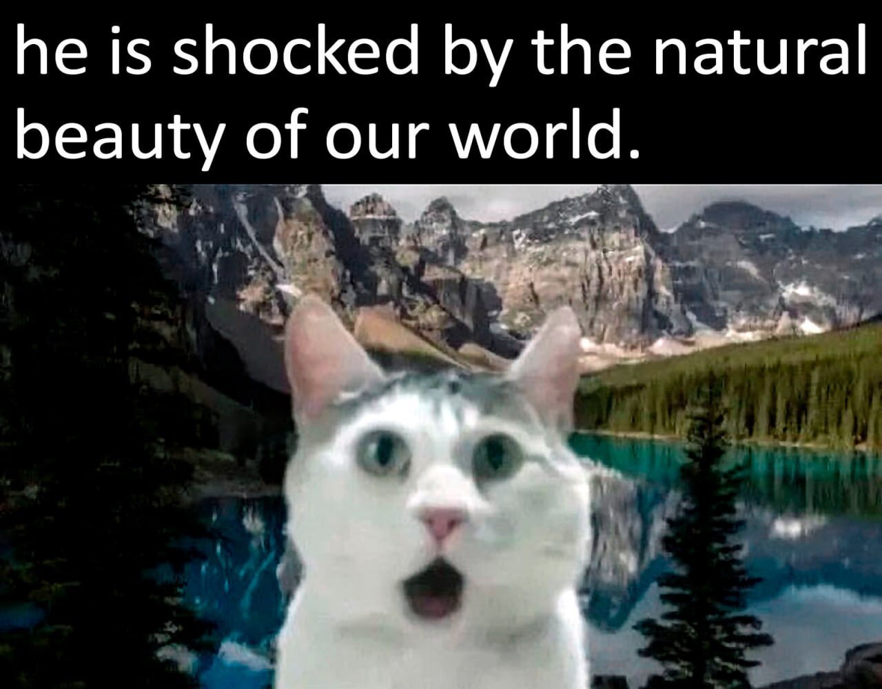 he is shocked the natural beauty of our world.