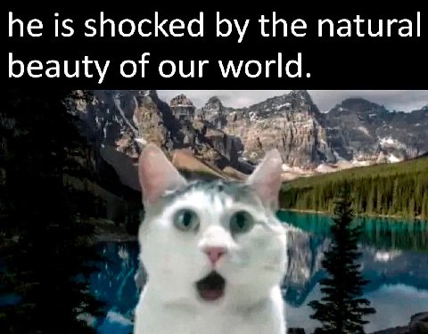 he is shocked the natural beauty of our world.