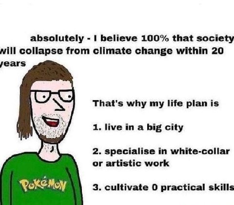 absolutely believe 100% that society will collapse from climate change within 20 That's why my life plan is 1. live in a big city 2. specialise white-collar or artistic work 3. cultivate 0 practical s