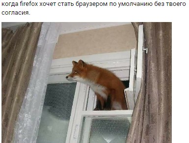 когда firefox хочет стать браузером по умолчанию без твоего согласия.