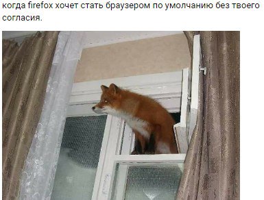 когда firefox хочет стать браузером по умолчанию без твоего согласия.