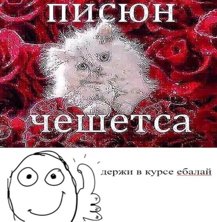A aye держи в курс ебалай ОТО)
