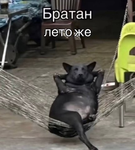 руководитель: «почему я должен отпускать тебя пораньше с работы?»

я: