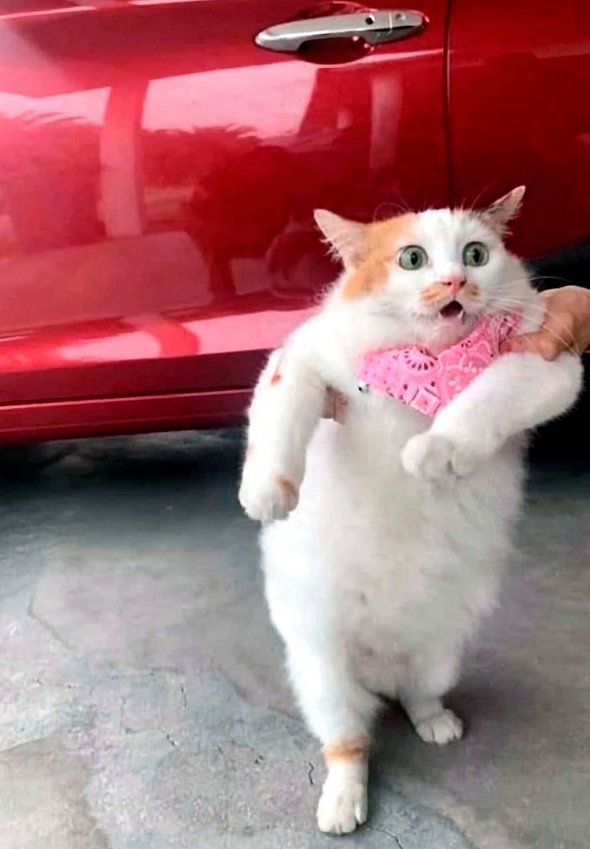 7 4 2