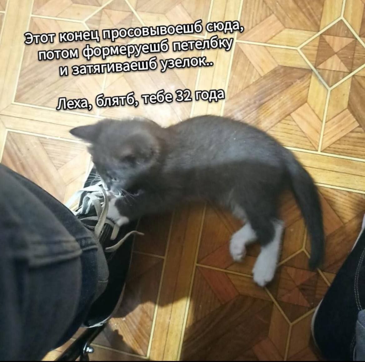 Этот KOH сюда... 6 петел WE if