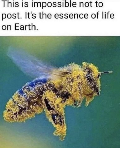 is impossible not to post. It's the essence of life on Earth.