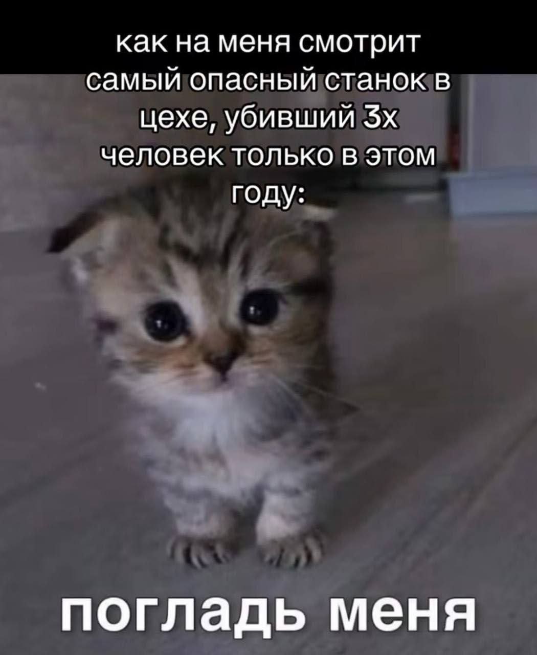как на меня смотрит самый опасный станок в цехе, убивший человек только в этом году: погладь меня