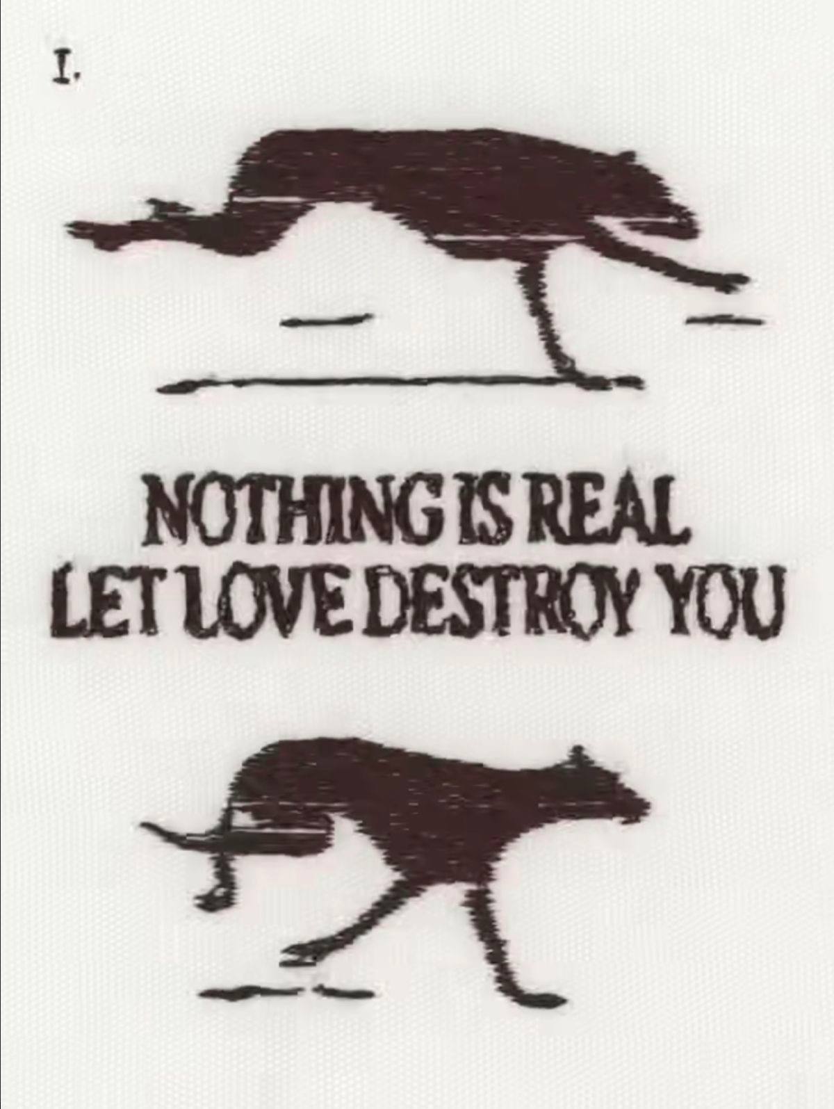 NOTHING IS REAL LET LOVE DESTROY YOU