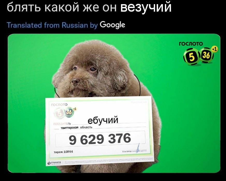блять какой же он везучий Google 36 (5 ебучий тираж 10844 9629 376_