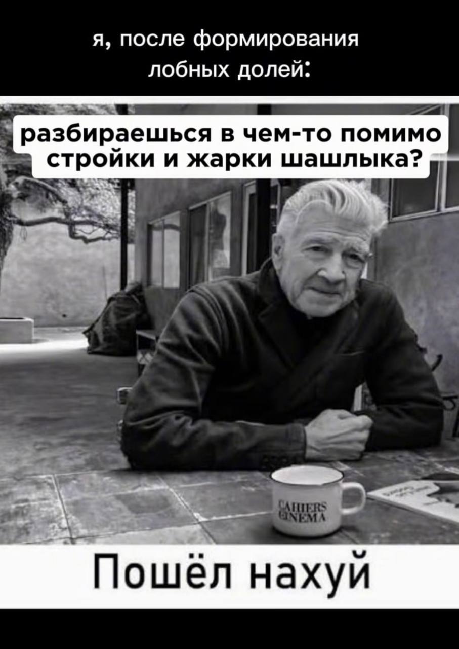 я, после формирования лобных долей: разбираешься в чем-то помимо стройки и жарки шашлыка? Пошёл нахуй