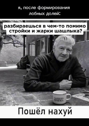 я, после формирования лобных долей: разбираешься в чем-то помимо стройки и жарки шашлыка? Пошёл нахуй