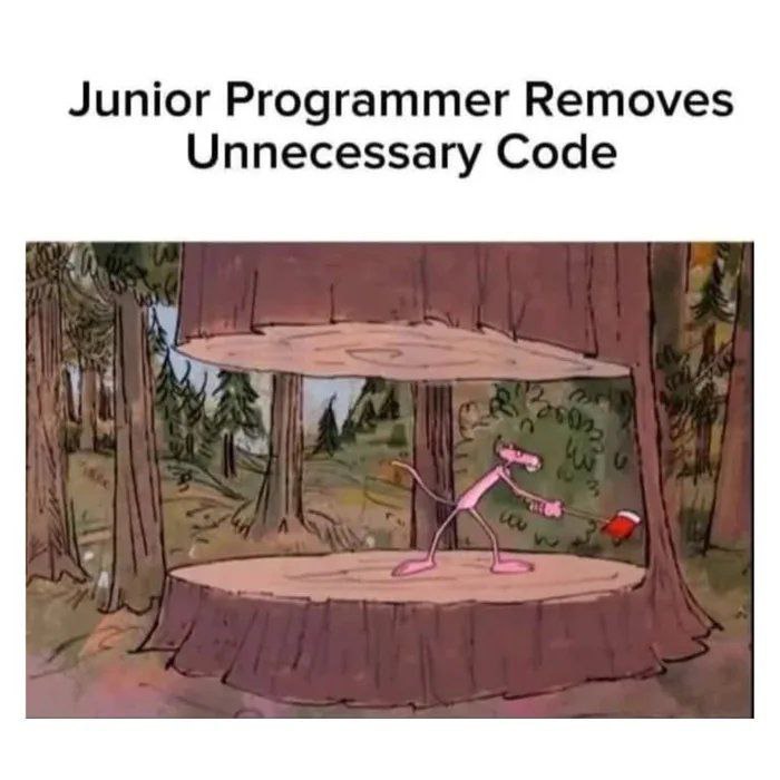 Junior Programmer Removes Unnecessary Code